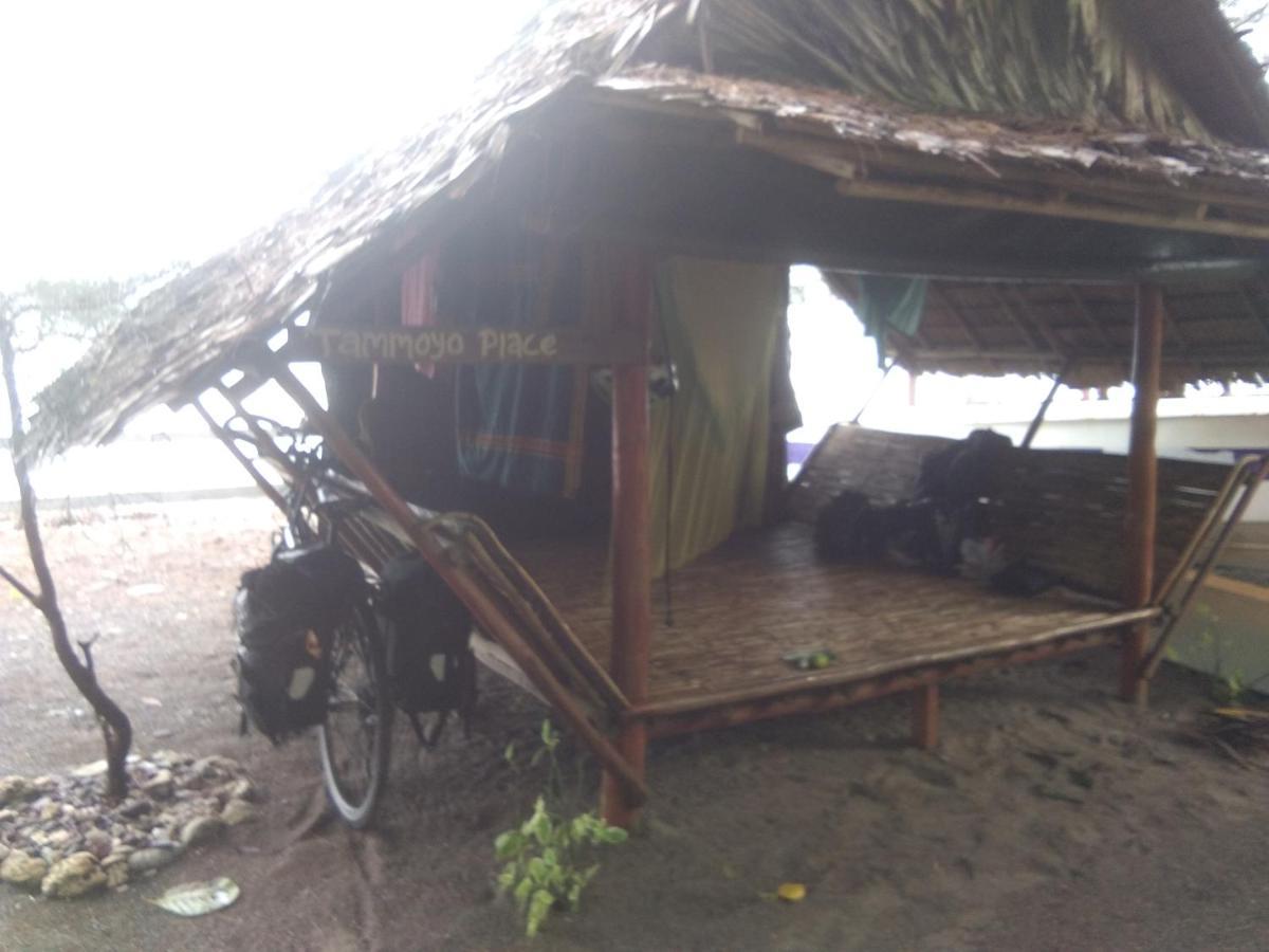 Tammoyo Place Kudat Extérieur photo